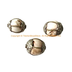 3 CUENTAS - GRANDES cuentas tibetanas hechas a mano étnicas Naga Conch Shell con tapas florales decorativas y acentos de alambre - Cuentas tribales - B3537B