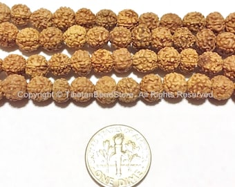 May include: A strand of brown round beads with a textured surface. The beads are approximately the size of a US dime.