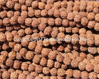 May include: Close-up of numerous brown, textured Rudraksha beads. The beads are tightly packed together, creating a dense, organic pattern. The image includes the text "Copyright © 2014 TibetanBeadStore on Etsy".