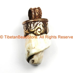 Puede incluir: Un colgante de concha de mar blanca y marrón con una parte superior de metal dorado y un diseño ornamentado. © TibetanBeadStore. Todos los derechos reservados.