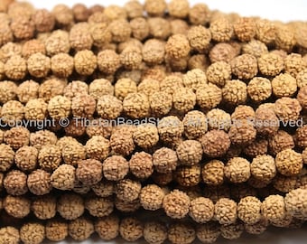 May include: A close-up of a pile of light brown round beads. The beads have a textured surface and are made of natural materials.