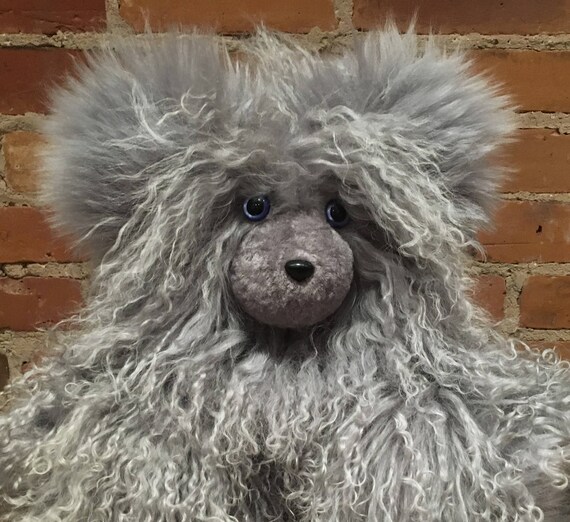 grey teddy bear dog