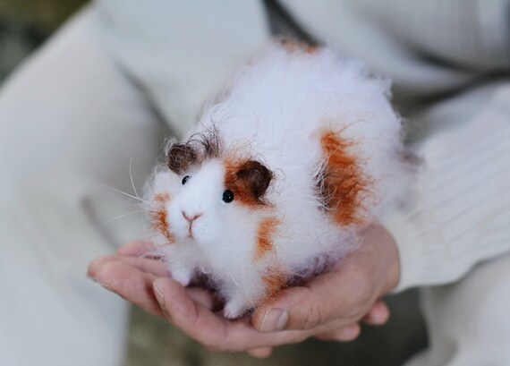 guinea pig doll
