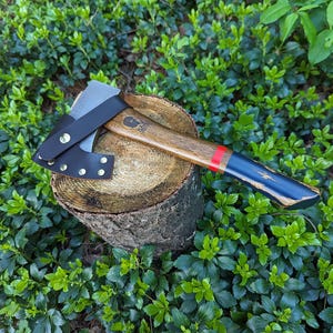 May include: Axe with a wooden handle, a silver blade, and a black leather sheath. The handle has a red stripe and blue accents. The axe is resting on a tree stump surrounded by green foliage.