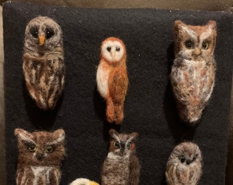 Owl and Bird Pins