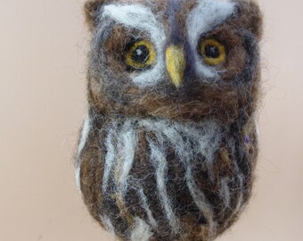 Kit - Little Screech Owl