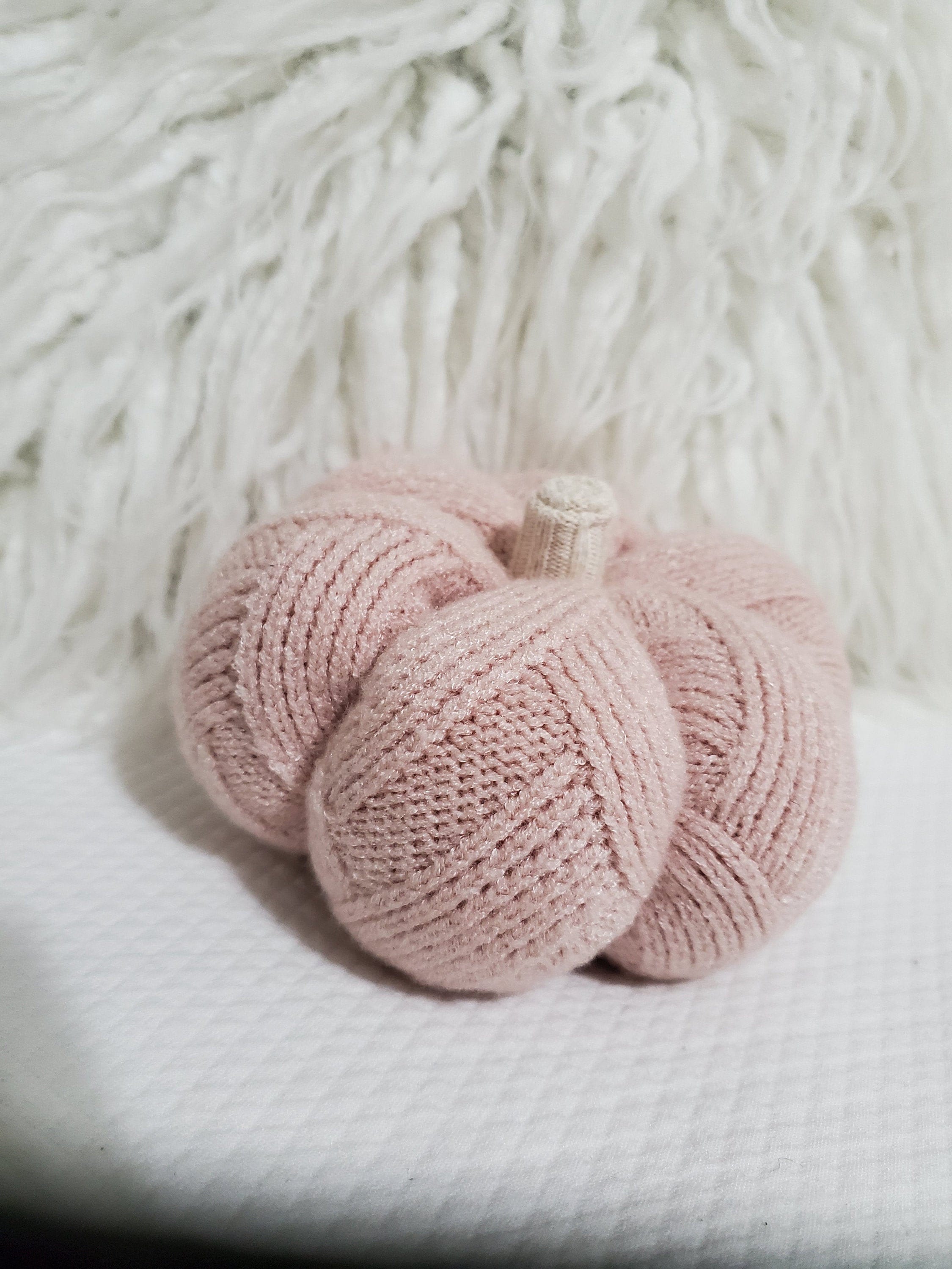 Blush pink sweater pumpkin with cream sweater stem from | Etsy