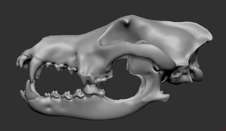 Download Only Wolf Skull Helmet 3d Print STL Files for Cosplay - Etsy
