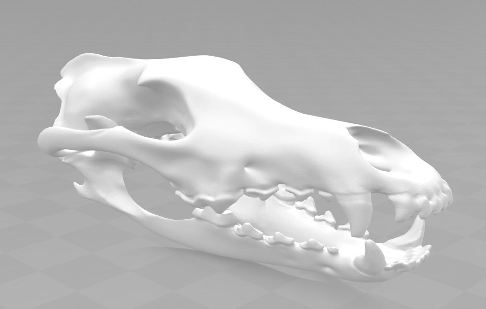 Download only Wolf Skull Helmet 3d Print STL Files for Cosplay | Etsy