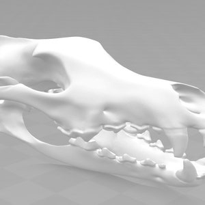 Download Only Wolf Skull Helmet 3d Print STL Files for Cosplay - Etsy