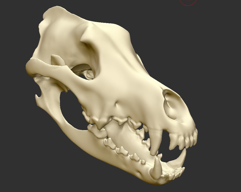 Download Only Wolf Skull Helmet 3d Print STL Files for Cosplay - Etsy UK