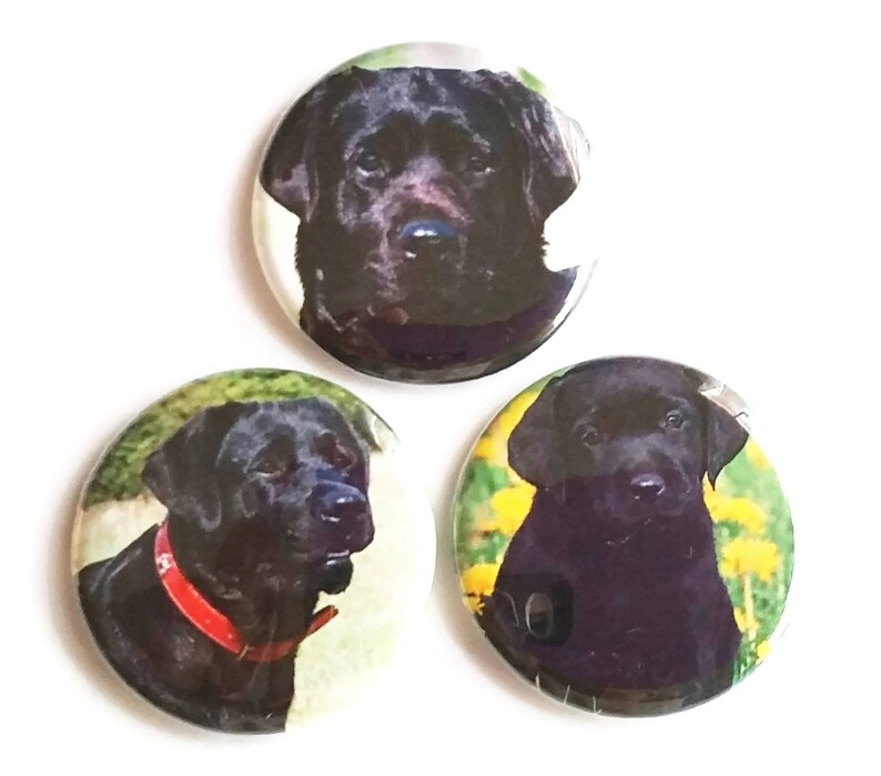 Black Lab Dog Fridge Labrador Retriever Dog Lover Etsy UK