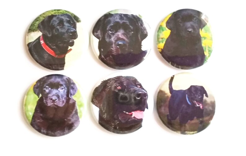 Black Lab Dog Fridge Labrador Retriever Dog Lover Etsy