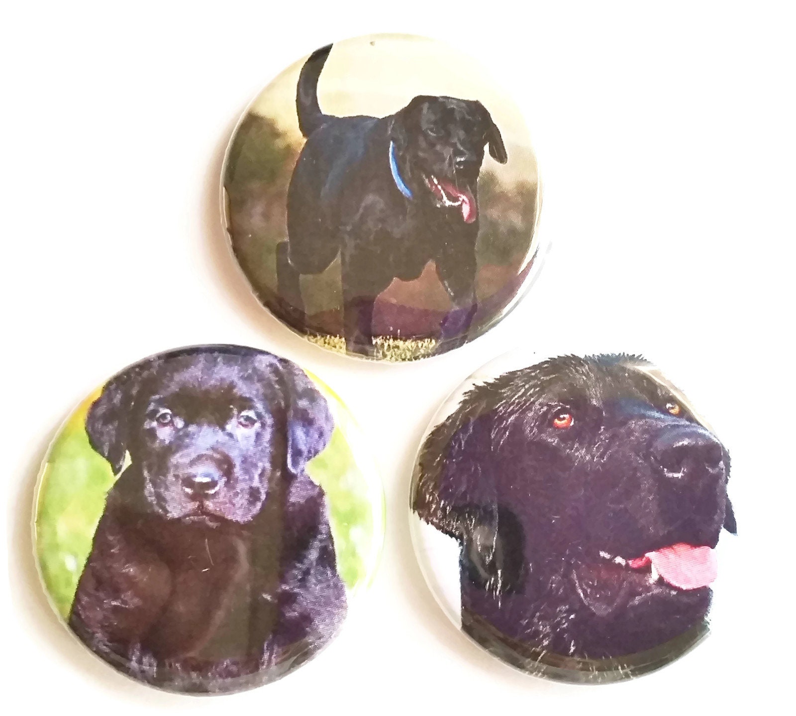 Black Lab Dog Fridge Labrador Retriever Dog Lover Etsy
