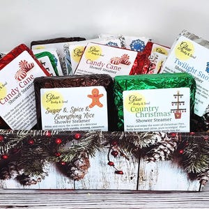 CLEARANCE Christmas Holiday Shower Steamers