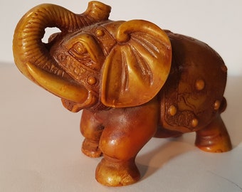 Elephant from the Tibetan Part of China