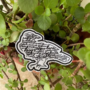 May include: A white embroidered patch in the shape of a raven with a thick black border. The interior of the raven is filled with black cursive text featuring the opening lines of Edgar Allan Poe's poem The Raven, ending with the word Nevermore.
