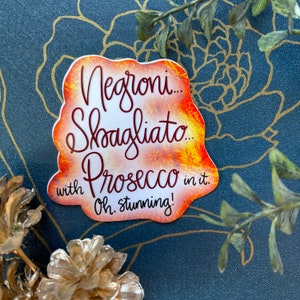 Negroni Sbagliato With Prosecco Sticker or Magnet | Laptop Sticker | Water Bottle Sticker | Gift for Friend | TikTok Trend | Favorite Drink