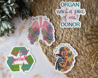 Organ Donor Sticker or Magnet Bundle | Laptop Stickers | WaterBottle Sticker | RN Sticker | Organ Donation| Anatomical Lung Kidney | Recycle