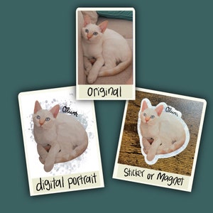 May include: A digital portrait of a white cat named Oliver with blue eyes. The cat is curled up in a ball and has a watercolor-like background.