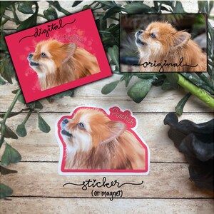 May include: A digital illustration of a Pomeranian dog named Peaches with a pink background. The image is available as a sticker or magnet.