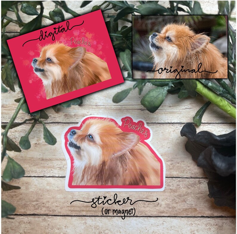 May include: A digital illustration of a Pomeranian dog named Peaches with a pink background. The image is available as a sticker or magnet.