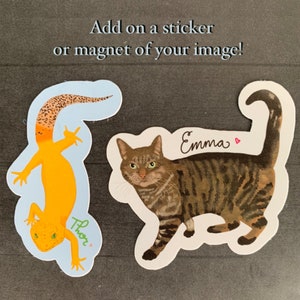 May include: Two custom-made stickers featuring a cat and a gecko. The cat sticker is brown tabby with green eyes and the text "Emma" in cursive. The gecko sticker is orange with black spots and the text "Thor" in cursive.