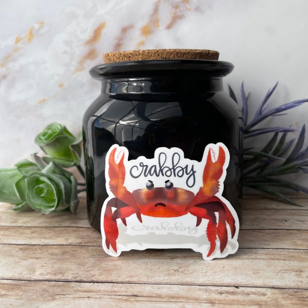 Crabby Crab Sticker or Magnet | Laptop Sticker | WaterBottle Sticker | Gift for Teen | Funny Sticker | Sea Animal | Ocean Life Art | RBF