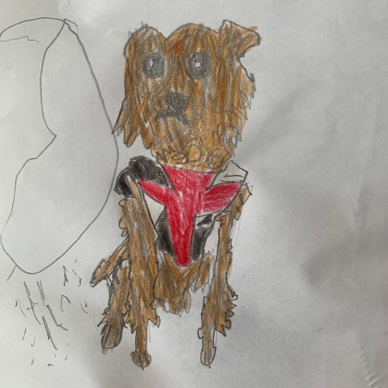 May include: A crayon drawing of a brown dog with a red and black harness. The dog has large, sad eyes and a fluffy coat. The drawing is on white paper, with a faint outline of a shape on the left side.