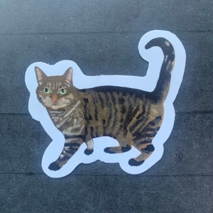 Brown Gray Pet Cat Sticker or Magnet | Laptop Sticker | Water Bottle Sticker | Cute Animals | Shorthair Cat | Domestic Cat | Pet Lover |