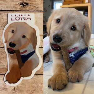 May include: A sticker of a golden retriever puppy with a blue bandana, holding a chew toy. The sticker has the name "Luna" written on it in cursive.