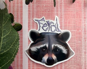 Feral Raccoon Sticker or Magnet | Laptop WaterBottle Sticker | Cute Exotic Pet |Woodland Critter | Whimsical | Attitude Gift for Teen | Wife