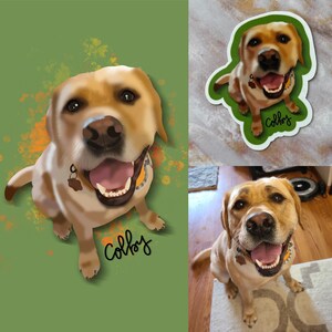 May include: A digital illustration of a golden retriever dog with a brown nose and brown eyes. The dog is looking up with its mouth open and tongue sticking out. The dog has a brown collar with a tag that says "Colby". The background is a green and orange abstract design.