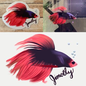 May include: A red and black betta fish with flowing fins, swimming in a tank with bubbles. The fish is named "Jimorthy".