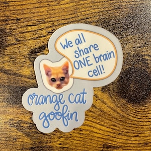 May include: A blue and white sticker with a cartoon orange cat and a speech bubble that says "We all share ONE brain cell!"  The text "orange cat goofin" is written below the cat.