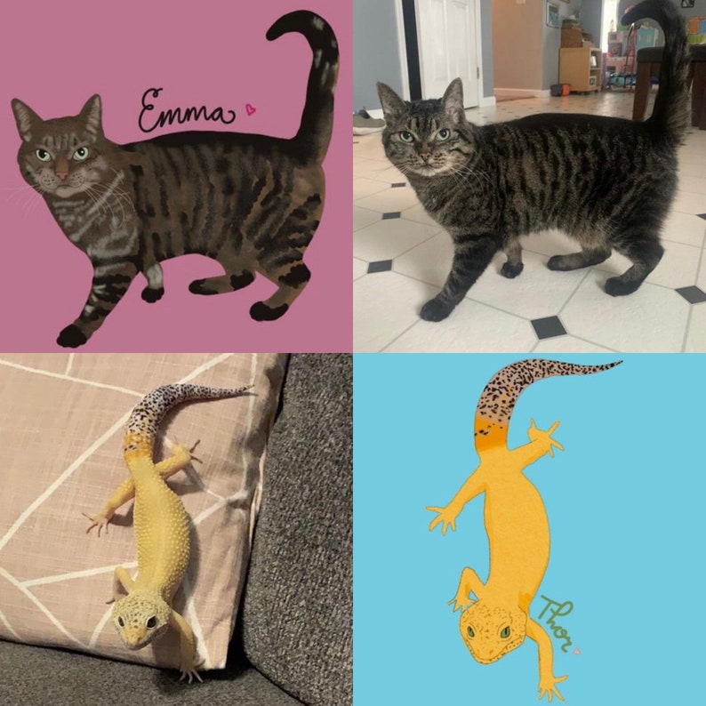 May include: A collage of four images featuring a tabby cat named "Emma", a leopard gecko named "Thor", and two different photos of the tabby cat. The cat is shown in a cartoon style on a pink background, and the gecko is shown in a cartoon style on a blue background.