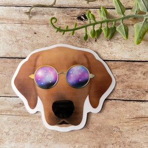 Golden Retriever Sticker or Magnet | Laptop Sticker | WaterBottle Sticker | Pet Dog Lover | I love My Dog | Galaxy Glasses | Cartoon Puppy