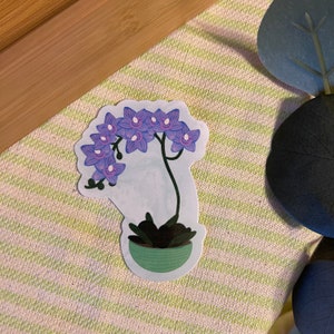 May include: A purple orchid plant with green leaves in a green pot. The orchid is in bloom with multiple purple flowers.