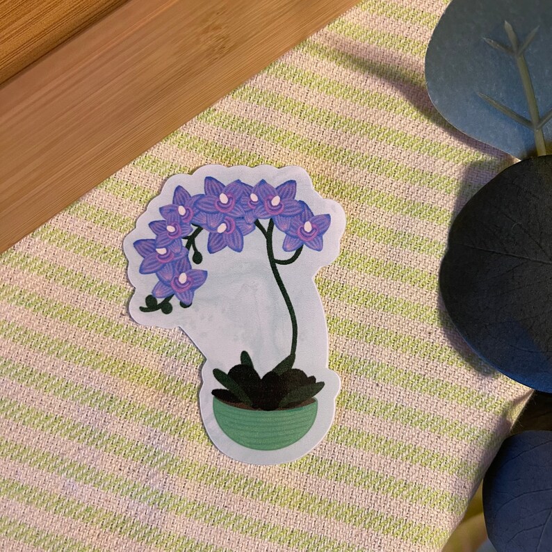 May include: A purple orchid plant with green leaves in a green pot. The orchid is in bloom with multiple purple flowers.