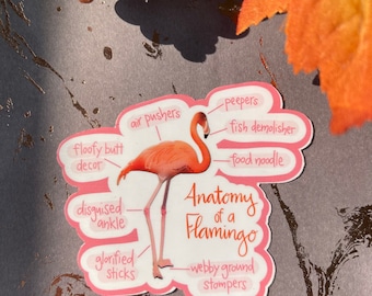 Anatomy of a Flamingo Sticker or Magnet | Laptop Sticker | WaterBottle Sticker | Locker Magnet | Gift for Friend | Colorful Animal Art | Zoo