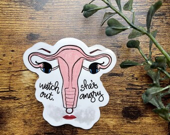 Ovaries and Uterus Sticker or Magnet | Laptop Sticker | WaterBottle Sticker | Feminism | Feminist Sticker | Smash the Patriarchy | Women