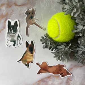 Silly Dog Sticker or Magnet Bundle | Laptop Stickers | WaterBottle Sticker | Pet Lover | Golden Retriever French Bulldog German Shepherd
