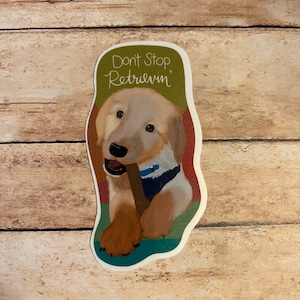 Don’t Stop Retrievin Sticker or Magnet | Laptop Sticker | Water Bottle Sticker | Dog Lover | Pet Lover | Golden Retriever Sticker | Dog Gift
