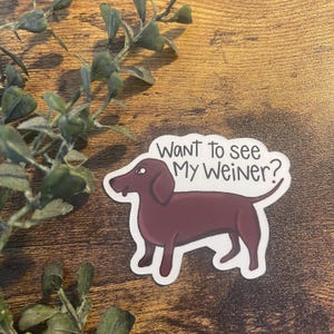 Wiener Dog Sticker or Magnet | Laptop Sticker | WaterBottle Sticker | Dog Lover | I love My Dog | Galaxy Glasses | Cartoon Puppy | Dachshund