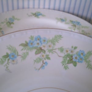 8 vintage Homer Laughlin Forget-me-not luncheon plates- lt blue floral Forget-me-not design-Georgian Eggshell plates-delicate blue floral EM