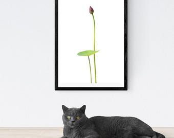 ミニマルなボタニカルアート、水彩画風の植物と花のプリント、自然をテーマにしたウォールアート、デジタルダウンロード（蓮のつぼみ）
