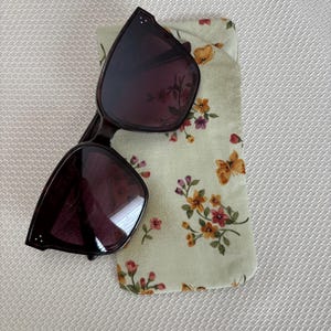 Glasses Case