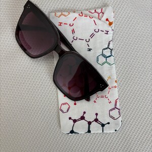 Glasses Case
