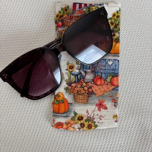 Glasses Case