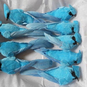 Puede incluir: Un conjunto de seis pájaros artificiales con cuerpos de color azul brillante y textura aterciopelada, largas colas de plumas azul claro y pequeños detalles negros alrededor de los ojos y picos. Cada ave tiene una cresta puntiaguda.